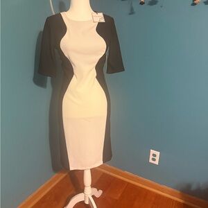 Bisou Bisou Monochrome Long Sleeve Dress